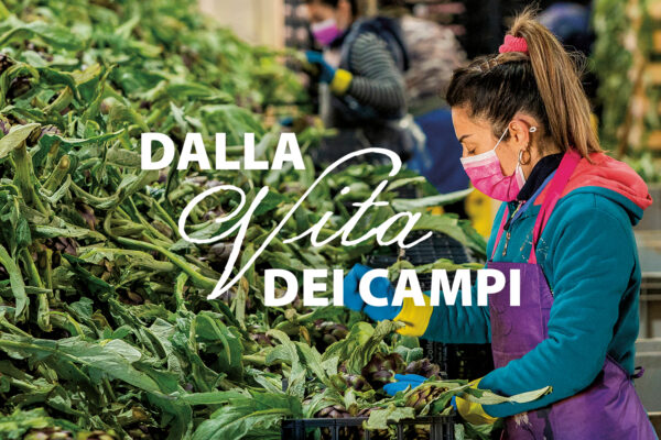 LaCollettiva_Dalla_Vita_dei_campi_03